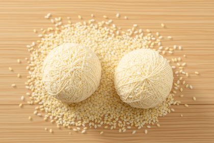 fromage_vegetal_cremeux