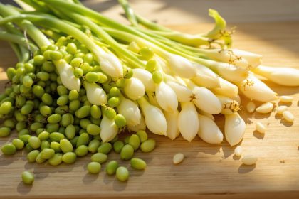 asperges_fraicheur_printaniere