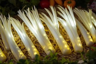 asperges_marche_printemps