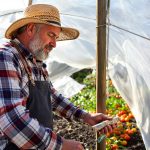 attente_jardin_printanier