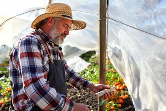 attente_jardin_printanier