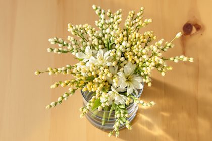 bouquet_asperges