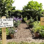 jardin_durable_marqueurs_bois