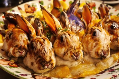 lapins-brioches-cuisson-clairedelumiere