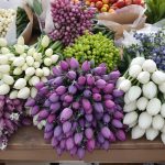 marché-asperges-printemps