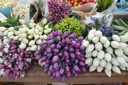 marché-asperges-printemps