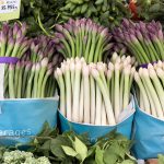 marche_asperges_printemps