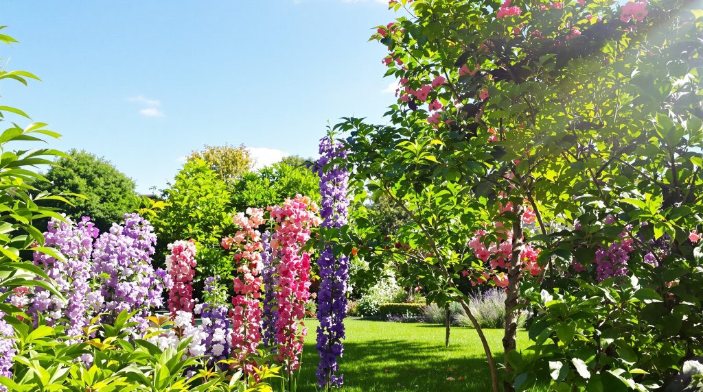 betteraves_plates_egypte_jardin