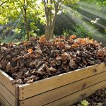 compost-maison-jardin-ecologique