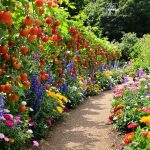 jardin_compagnonnage_biodiversité