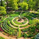 jardin_mandala_urbain