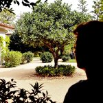 Jardin_truffier_ensoleillé