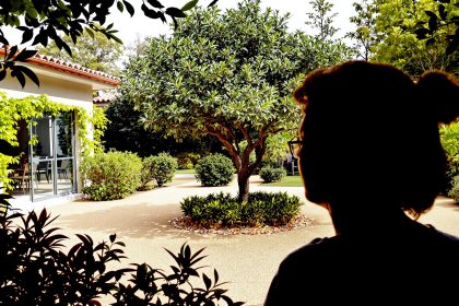 Jardin_truffier_ensoleillé