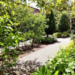 plantation_tomates_orties