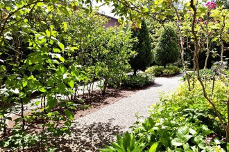 plantation_tomates_orties