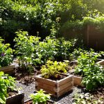 Potager_Urbain_Été.