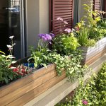 Potager_urbaine_avec_liège