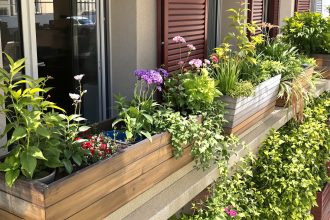 Potager_urbaine_avec_liège