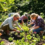 potagers_partages_urbains