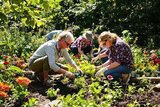 potagers_partages_urbains