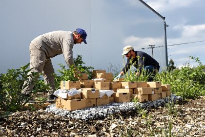 preparation_jardin_organique