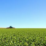 Champ_tracteur_local_bio