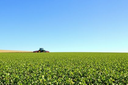 Champ_tracteur_local_bio