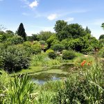 Espace_refuge_naturel_garden