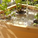 GelHydratantPlantes