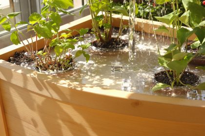 GelHydratantPlantes