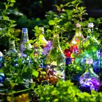 irrigation_artisanale_potager