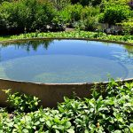 irrigation_gravitaire_jardin
