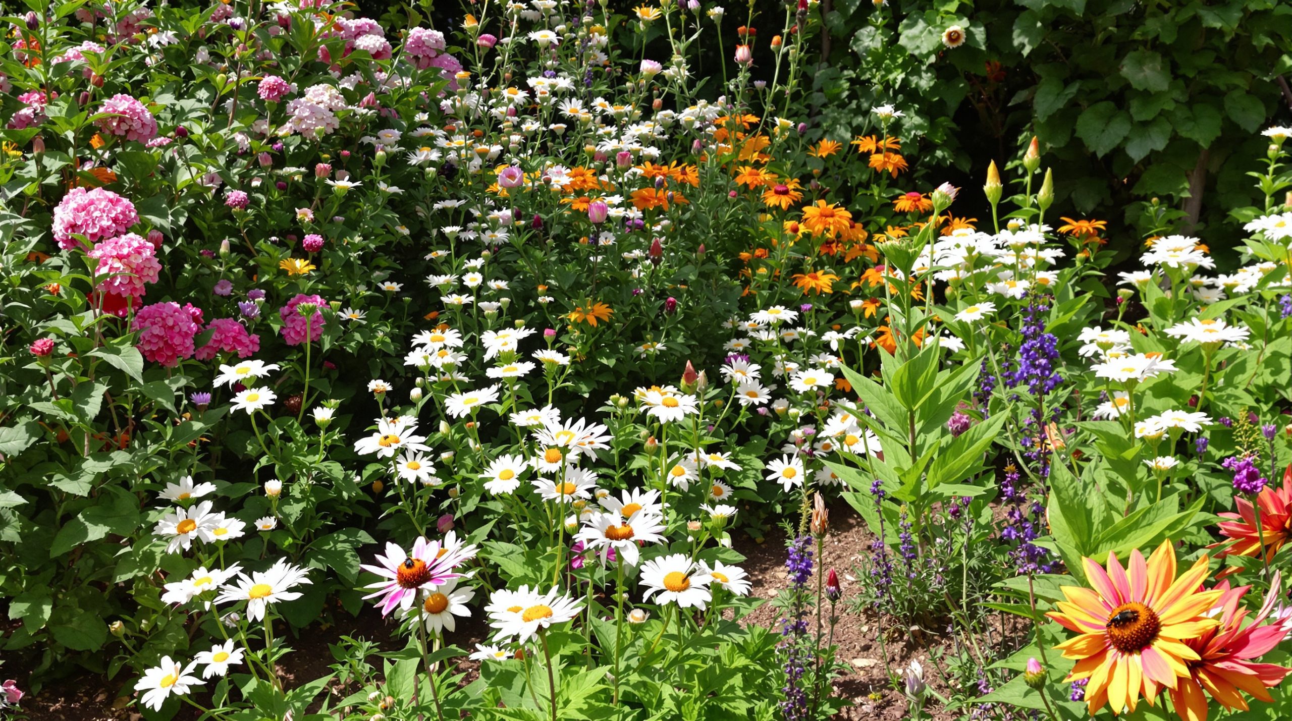 Jardin_biodiversité_équilibre