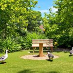 jardin_poulailler_poules