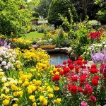 jardin_pour_pollinisateurs_flore_abondante