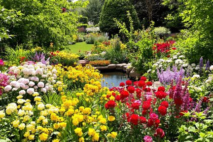 jardin_pour_pollinisateurs_flore_abondante