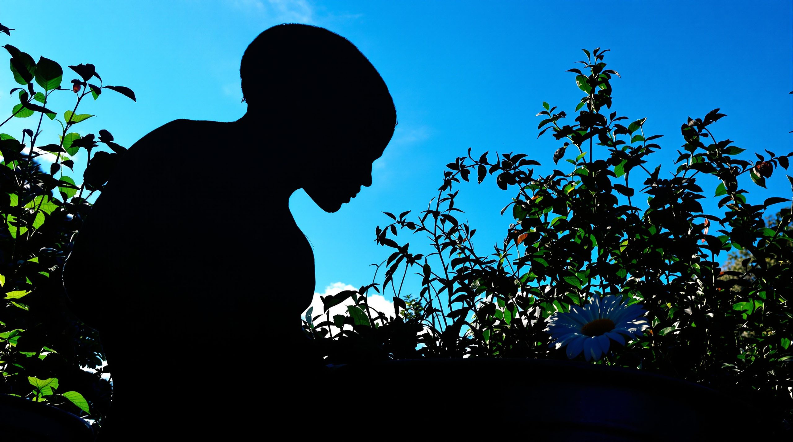 Jardinage_silhouette