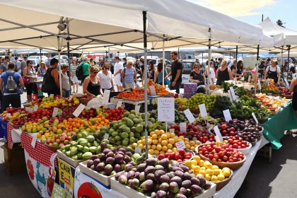 marché-artichaut-littoral