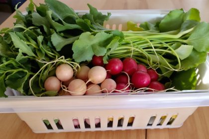 Panier_Légumes_Printemps