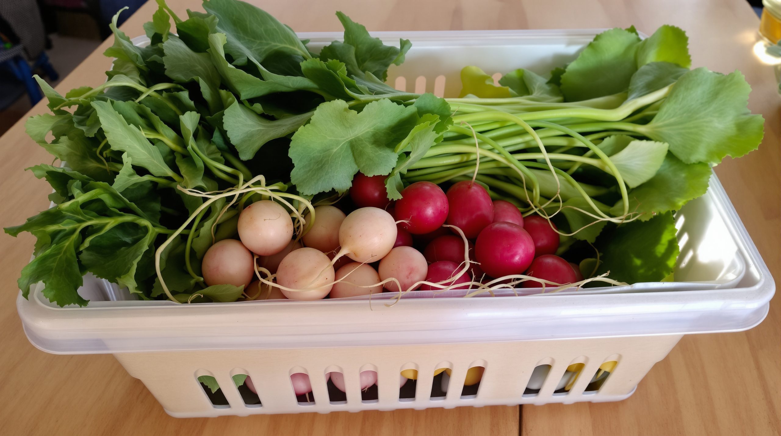 Panier_Légumes_Printemps