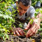 inspection-jardinier-potager