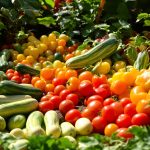 potager_été_méditerranéen