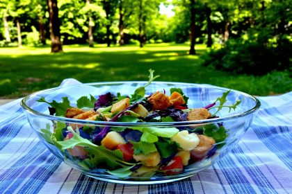 salade_nomade_picnique_parc.