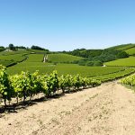vignobles_bourguignon_coteaux_ensoleilles