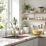 cuisine_rayonnages_certains