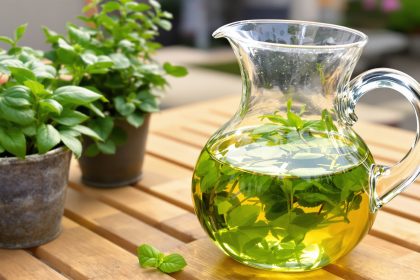 infusion-fraicheur-ete