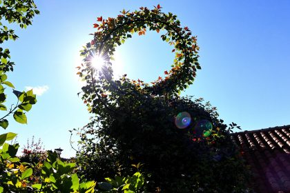 jardin_arrosage_clou_régénérant