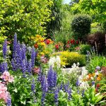 jardin-diversité-locale