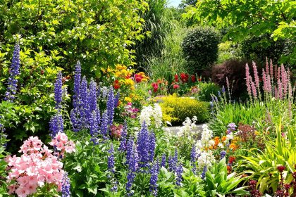 jardin-diversité-locale