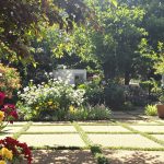jardin_paillage_flore